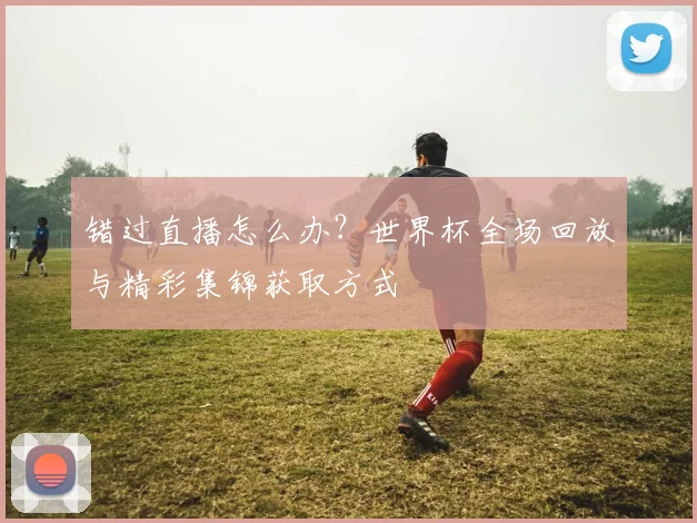错过直播怎么办？世界杯全场回放与精彩集锦获取方式