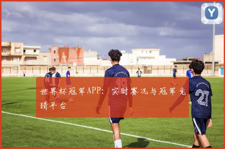 世界杯冠军APP：实时赛况与冠军竞猜平台
